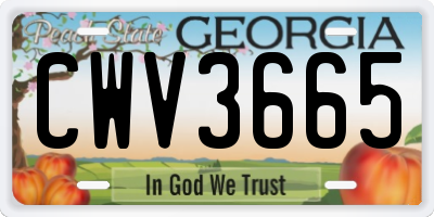 GA license plate CWV3665