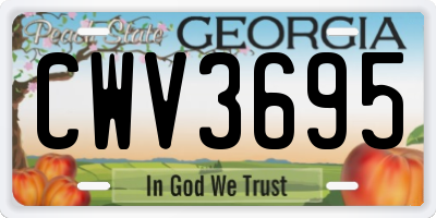 GA license plate CWV3695