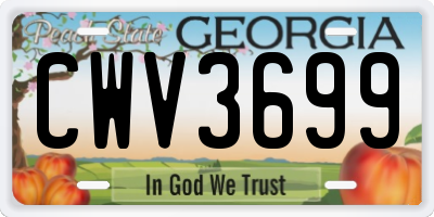 GA license plate CWV3699