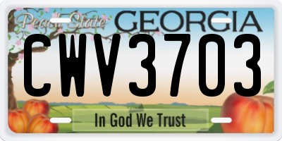 GA license plate CWV3703