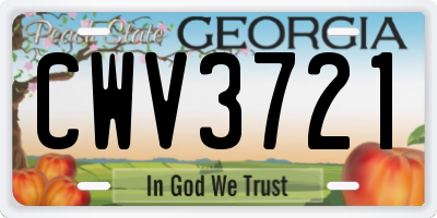 GA license plate CWV3721