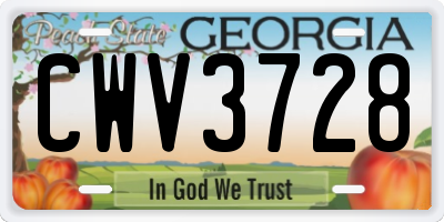 GA license plate CWV3728