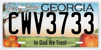 GA license plate CWV3733