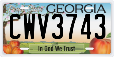 GA license plate CWV3743