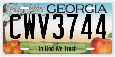 GA license plate CWV3744