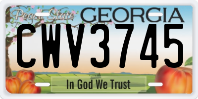 GA license plate CWV3745
