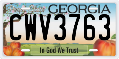 GA license plate CWV3763