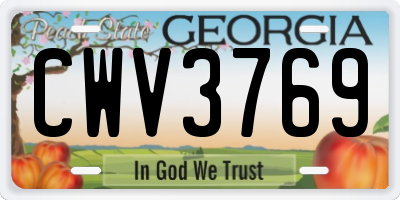 GA license plate CWV3769