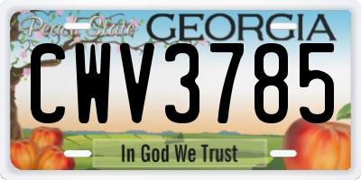 GA license plate CWV3785