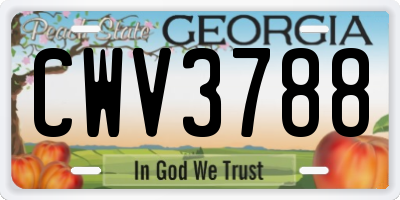GA license plate CWV3788