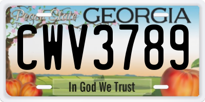 GA license plate CWV3789