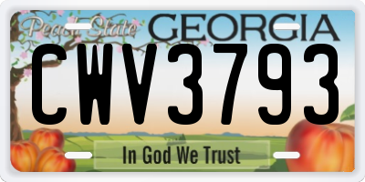 GA license plate CWV3793