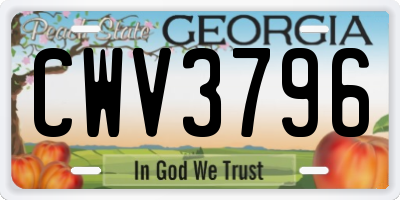 GA license plate CWV3796