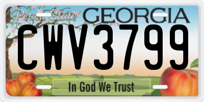 GA license plate CWV3799