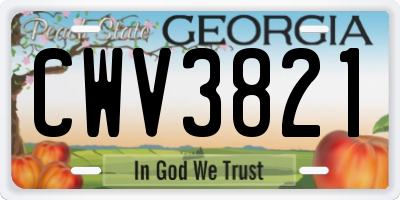GA license plate CWV3821