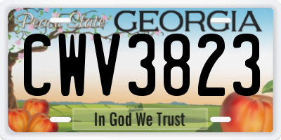 GA license plate CWV3823