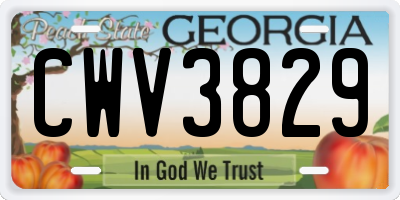 GA license plate CWV3829