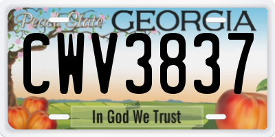 GA license plate CWV3837