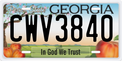 GA license plate CWV3840