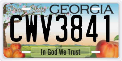 GA license plate CWV3841