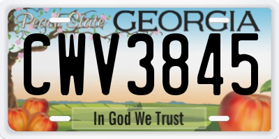 GA license plate CWV3845