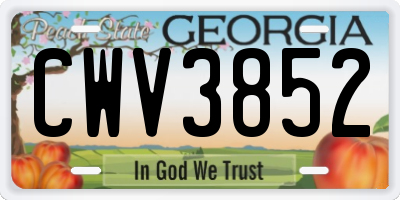 GA license plate CWV3852