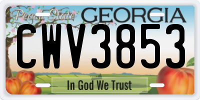 GA license plate CWV3853