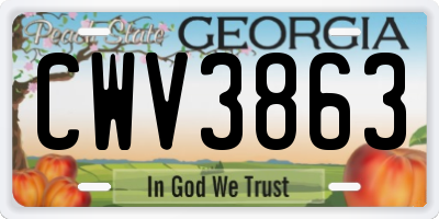 GA license plate CWV3863
