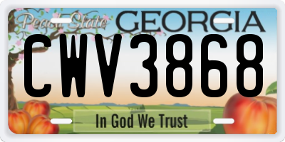 GA license plate CWV3868