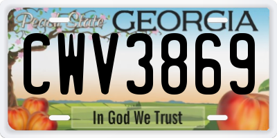 GA license plate CWV3869