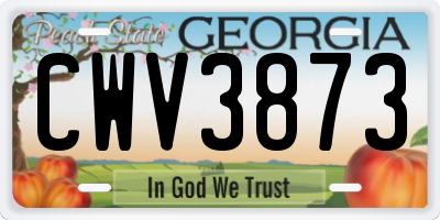 GA license plate CWV3873