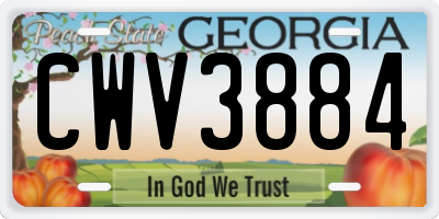 GA license plate CWV3884