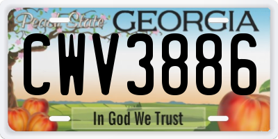 GA license plate CWV3886