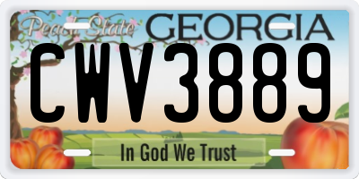 GA license plate CWV3889