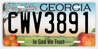 GA license plate CWV3891