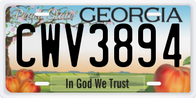 GA license plate CWV3894