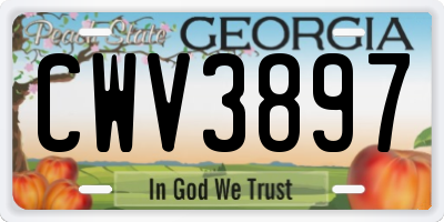 GA license plate CWV3897