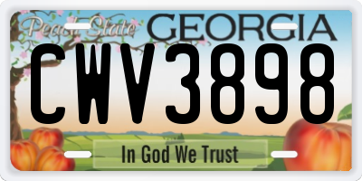 GA license plate CWV3898