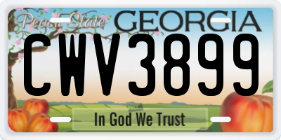 GA license plate CWV3899