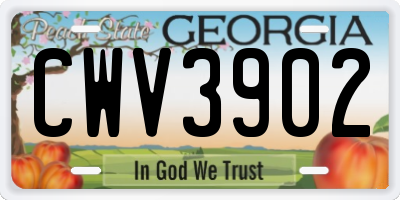 GA license plate CWV3902