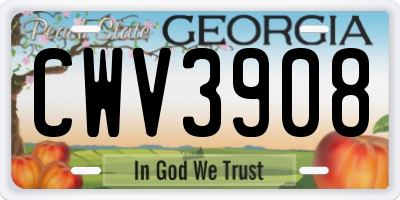 GA license plate CWV3908