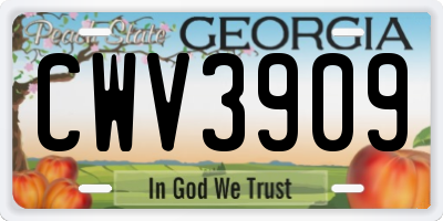 GA license plate CWV3909