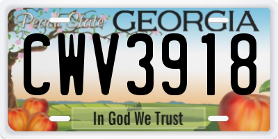 GA license plate CWV3918