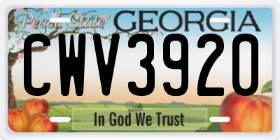 GA license plate CWV3920