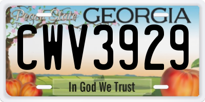 GA license plate CWV3929
