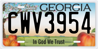GA license plate CWV3954