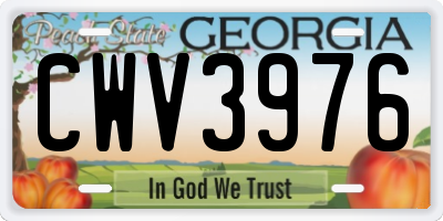 GA license plate CWV3976