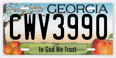 GA license plate CWV3990