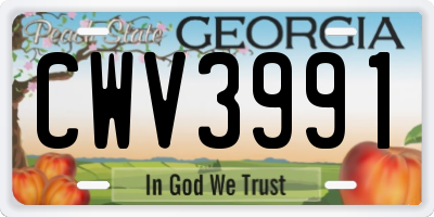 GA license plate CWV3991