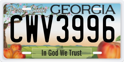GA license plate CWV3996